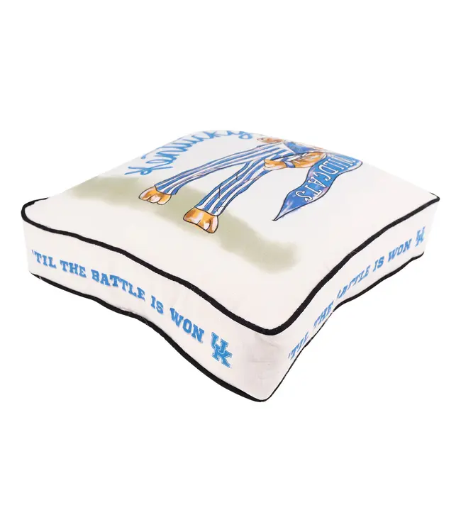Kentucky Mascot Pillow