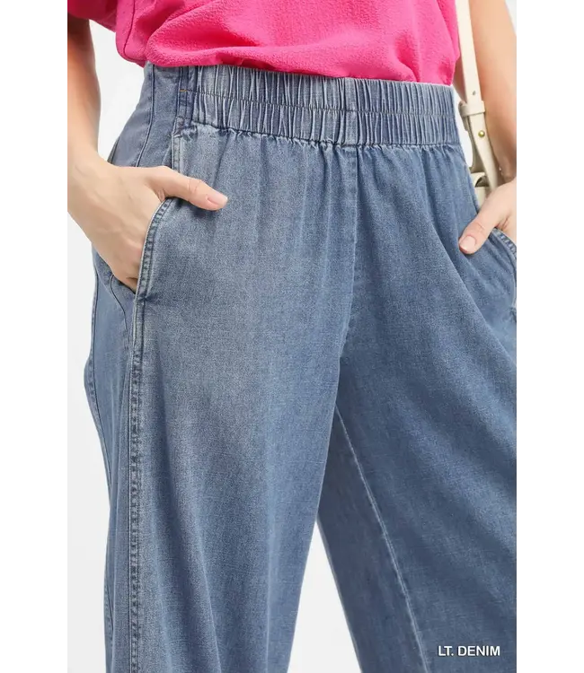 Karen Light Denim Wide Leg Pants