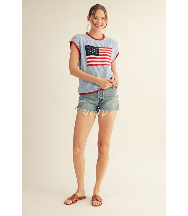 Reagan Blue American Flag Sweater Top