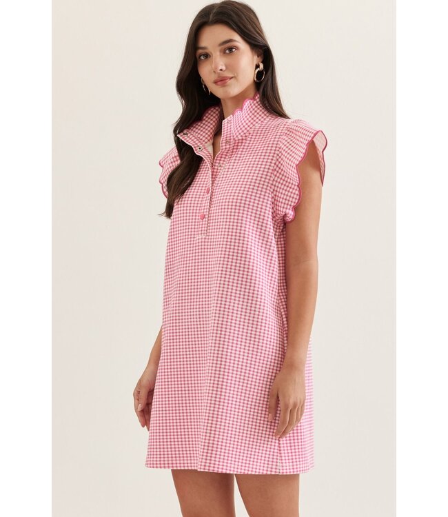 Zinnia Pink Gingham Dress