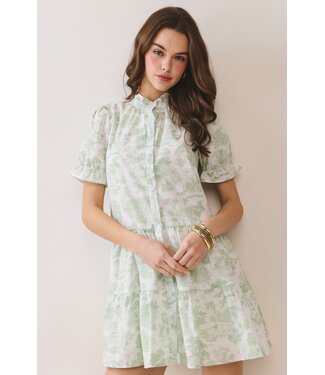 TCEC Evan Green Babydoll Dress