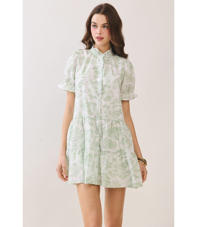Evan Green Babydoll Dress