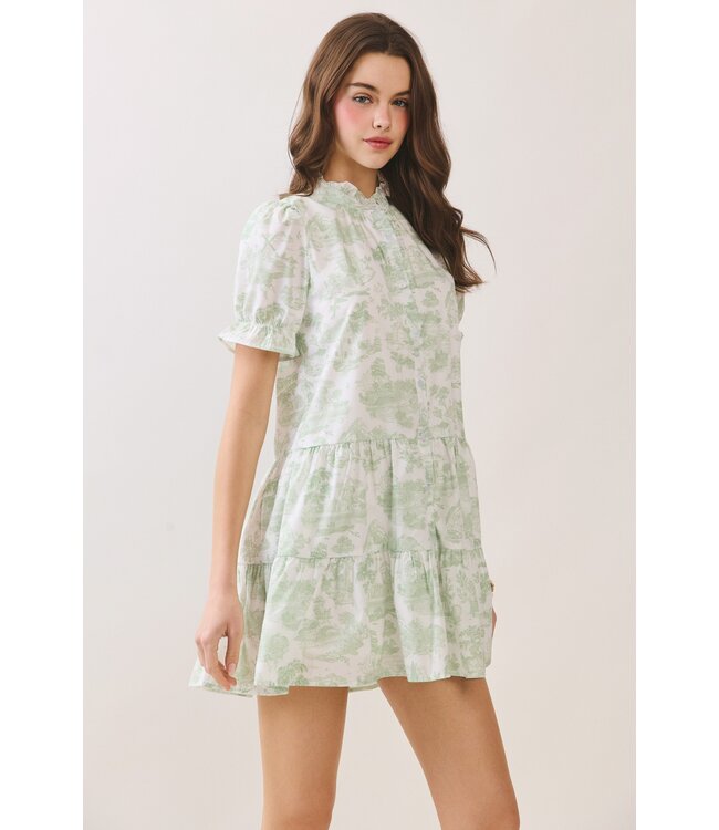Evan Green Babydoll Dress