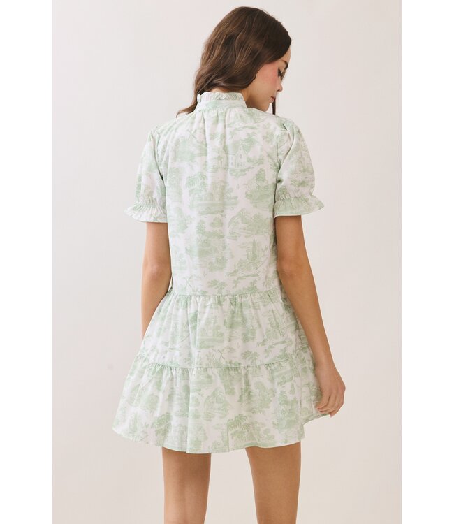 Evan Green Babydoll Dress