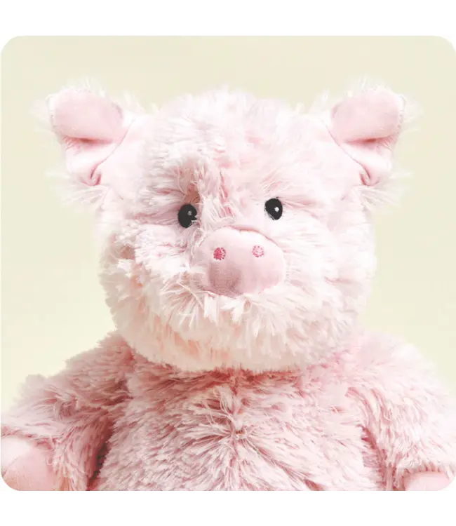 Pig Warmies
