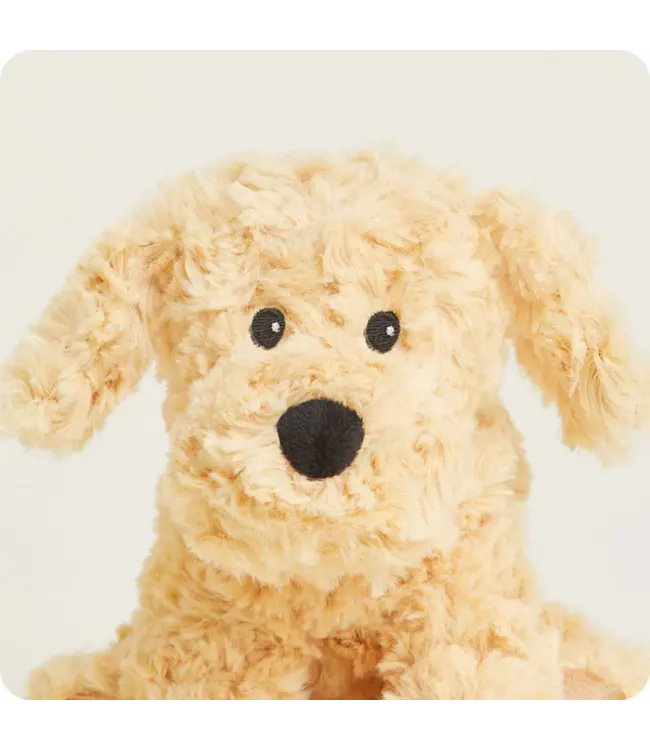 Golden Dog Warmies Junior