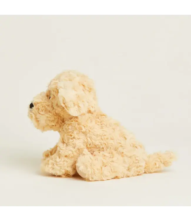 Golden Dog Warmies Junior