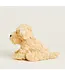 Golden Dog Warmies Junior