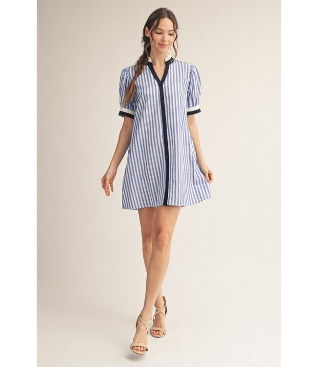 Chelsea Blue Striped Dress