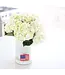 Nora Fleming Stars & Stripes Forever Mini