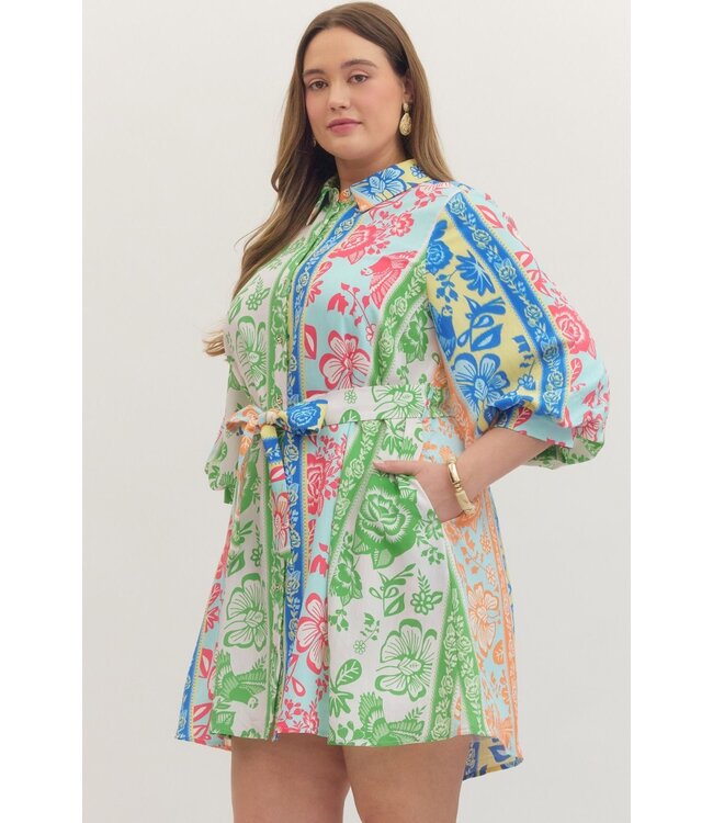Rani Green Botanical Striped Dress