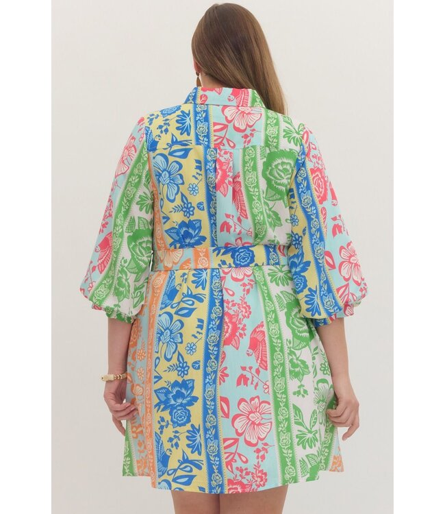Rani Green Botanical Striped Dress