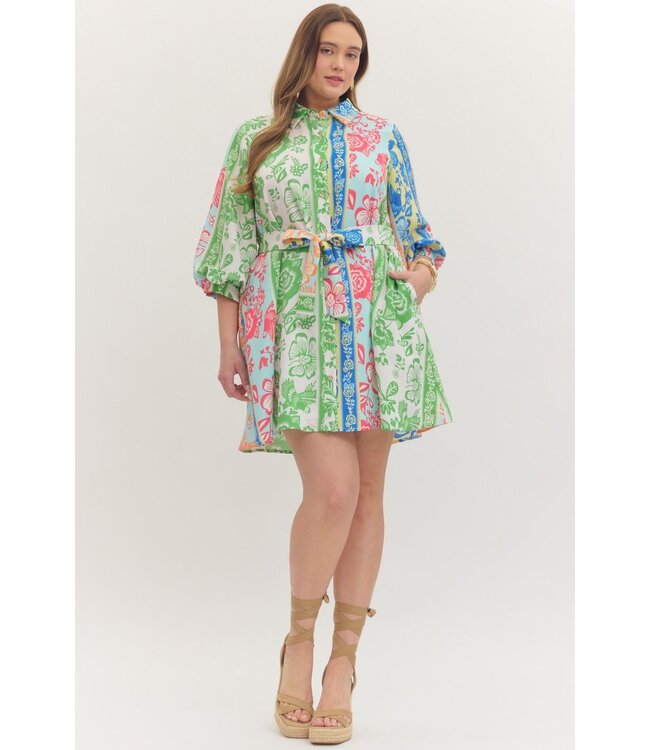 Rani Green Botanical Striped Dress