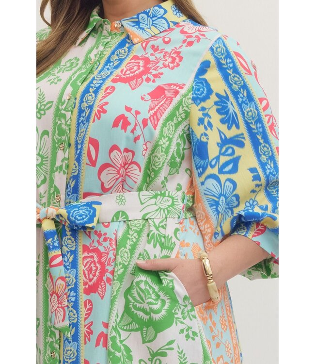 Rani Green Botanical Striped Dress