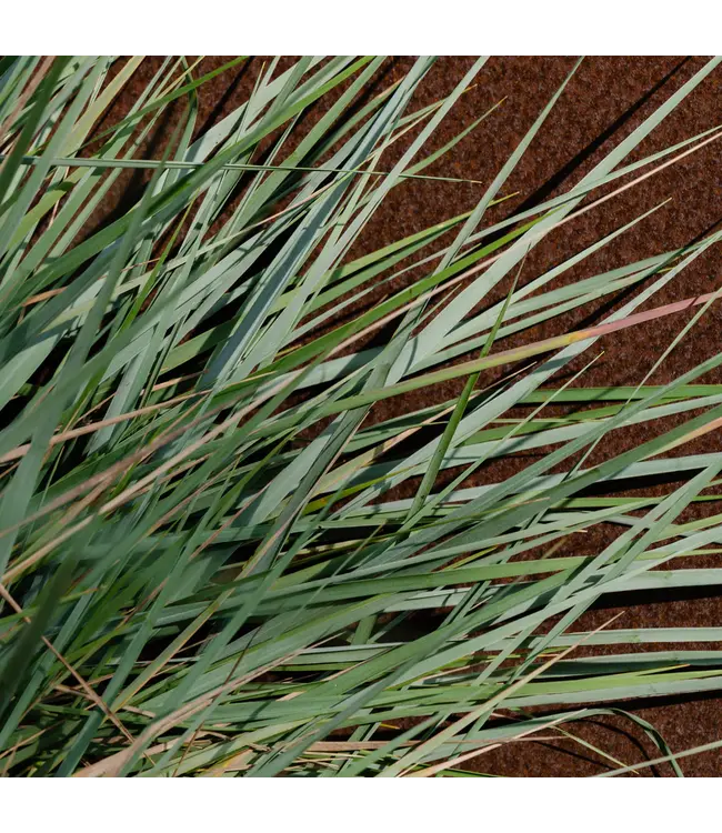 White Vetiver Pura Diffuser Refill
