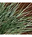 White Vetiver Pura Diffuser Refill