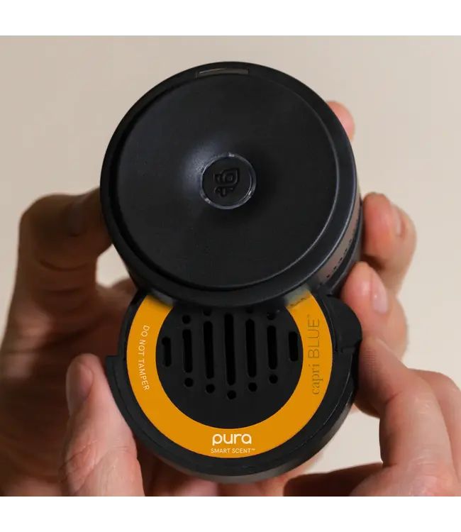 Pumpkin Dulce Pura Car Diffuser Refill