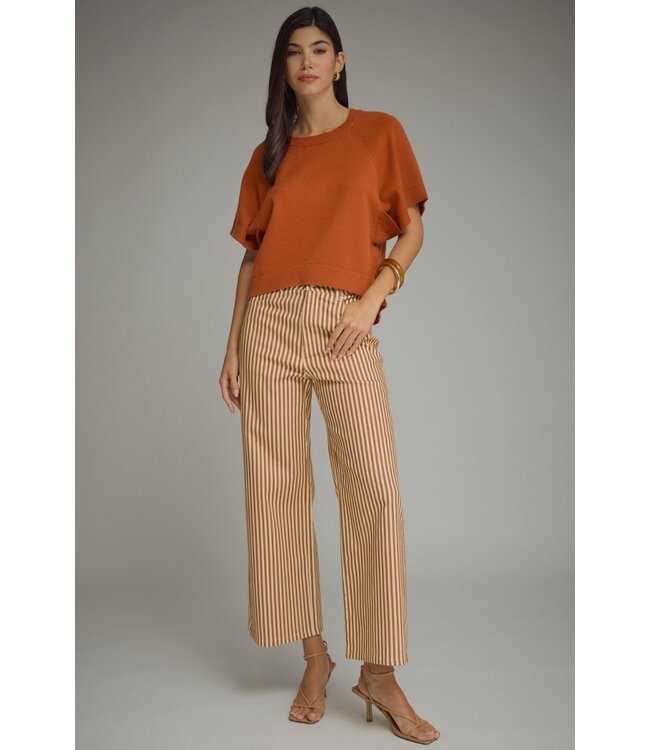 Lannie Brown Striped Wide Leg Pants