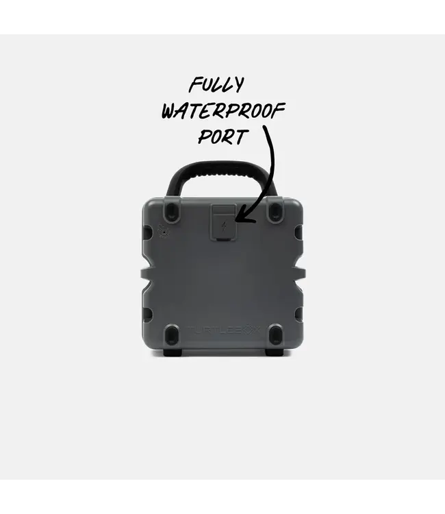 Turtlebox Gray Cub