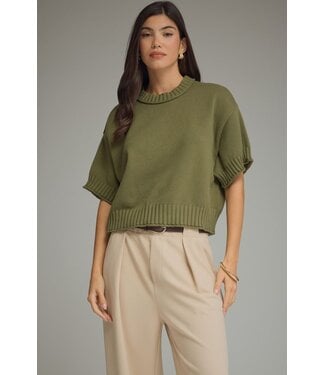 Entro Renee Olive Knit Top
