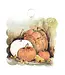 Round Top Mini Scallop Fall Pumpkin Print