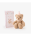 Pink Birthday Bear Plush Toy & Gift Box