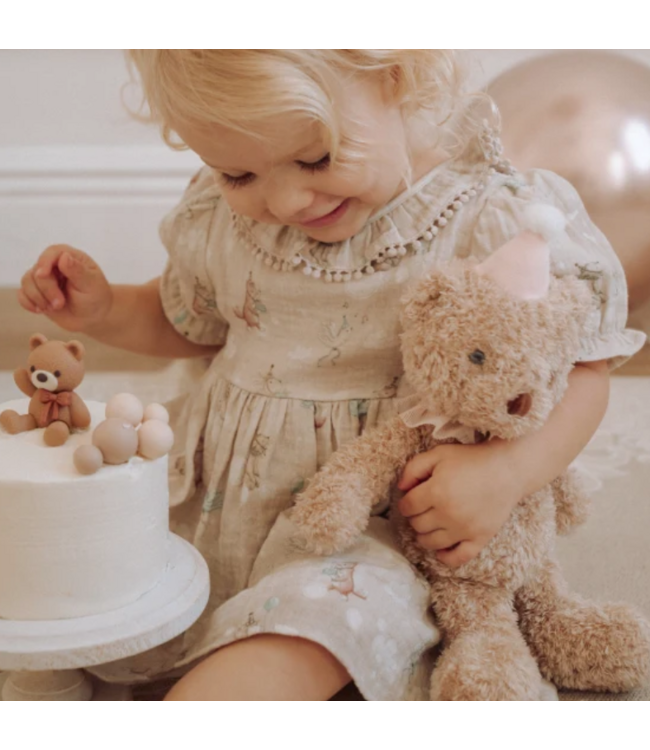 Pink Birthday Bear Plush Toy & Gift Box