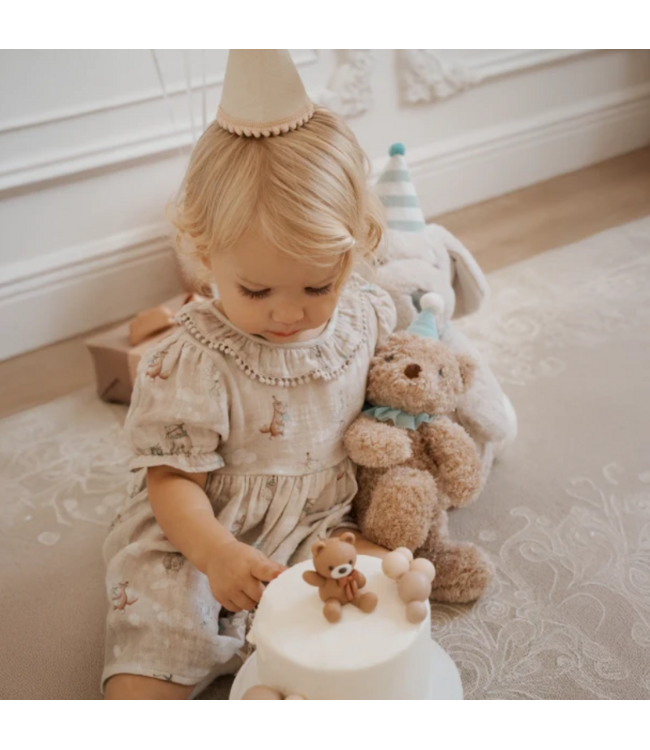 Aqua Birthday Bear Plush Toy & Gift Box