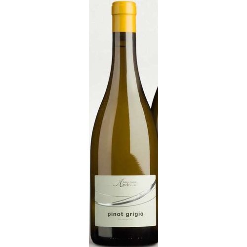 2020 Andriano Pinot Grigio 750ml 2020 Andriano Pinot Grigio 750ml