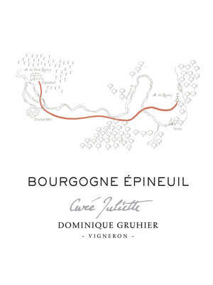 2019 Domaine Dominique Gruhier Bourgogne Epineuil Cote de Grisey Cuvee Juliette 750ml