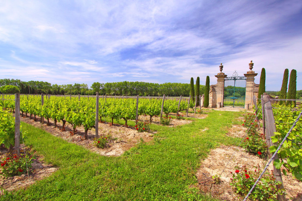 Vineyards
