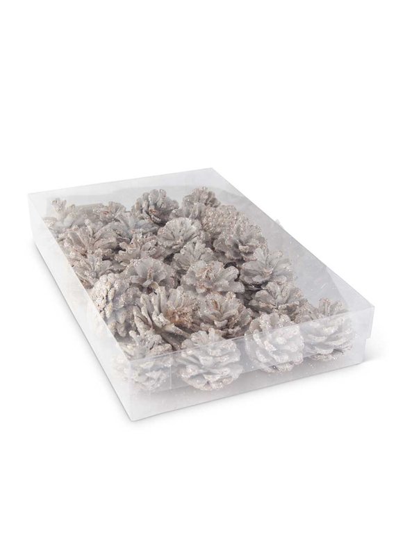 K&K Interiors Box of 24 White Glitter Pinecones