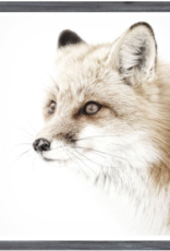Celadon Red Fox - Mini Grey 13x16