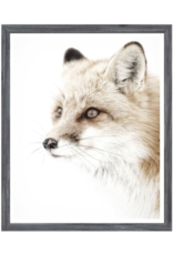 Celadon Red Fox - Mini Grey 13x16