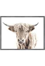 Celadon Highland Cow - Mini Grey 15x20