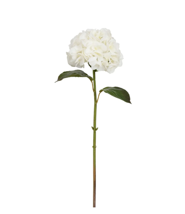 29" Hydrangea White