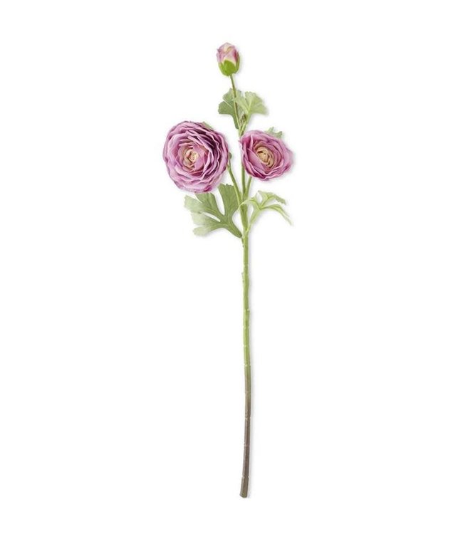 25" Dark Purple Real Touch Triple Bloom Ranunculus Stem