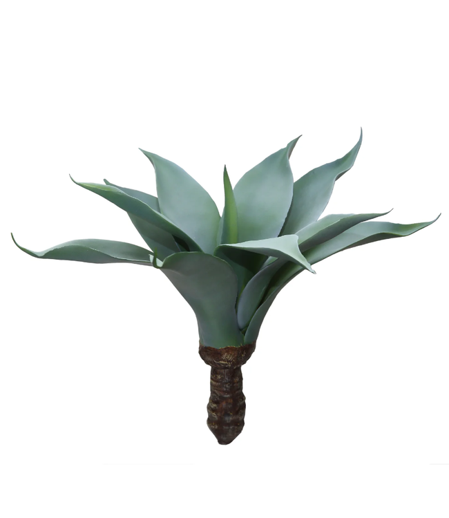 Maguey Plant 18" (Grey/Green)