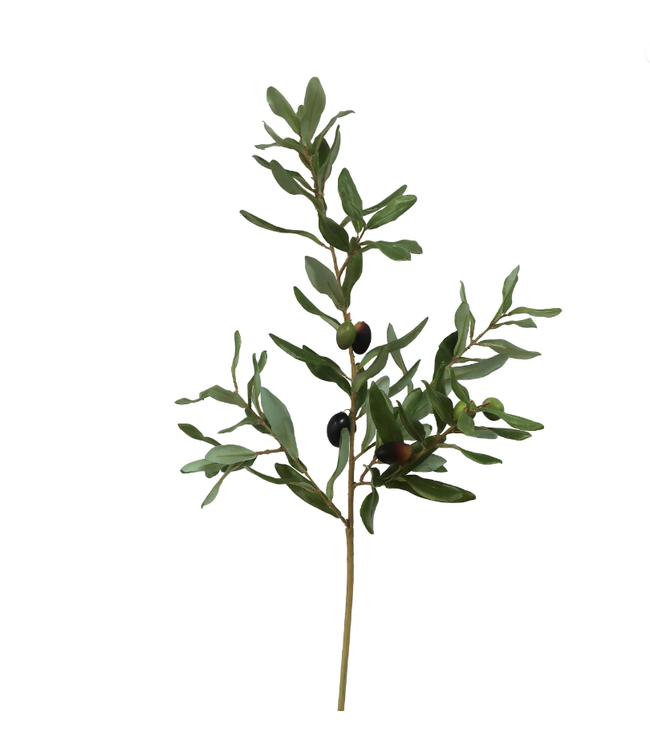 Olive Leaf Med