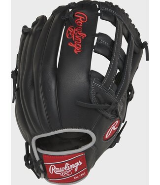 Rawlings RAWLINGS SELECT PRO LITE SERIES BASEBALL GLOVE YOUTH 12  RHT - AARON JUDGE