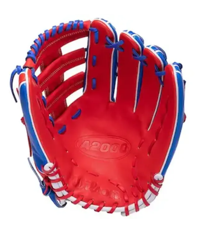 Wilson WILSON A2000 SLOW PITCH GLOVE