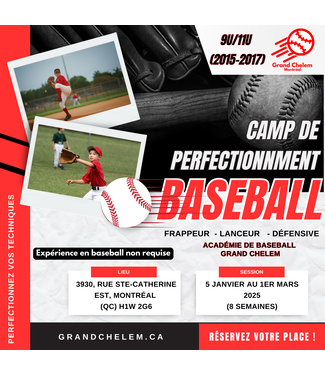 PROGRAMME DE PERFECTIONNEMENT - 9U/11U (2015-2017)