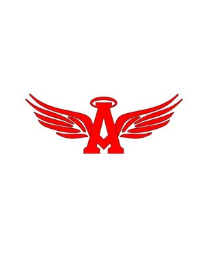 Programme de perfectionnement Softball - Les Anges de Montréal