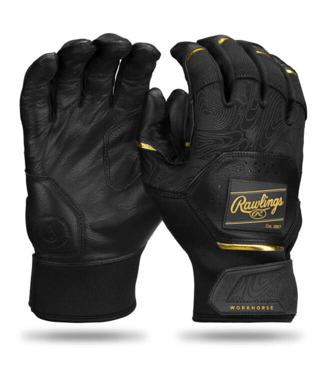 Rawlings Gants de baseball pour adultes Workhorse