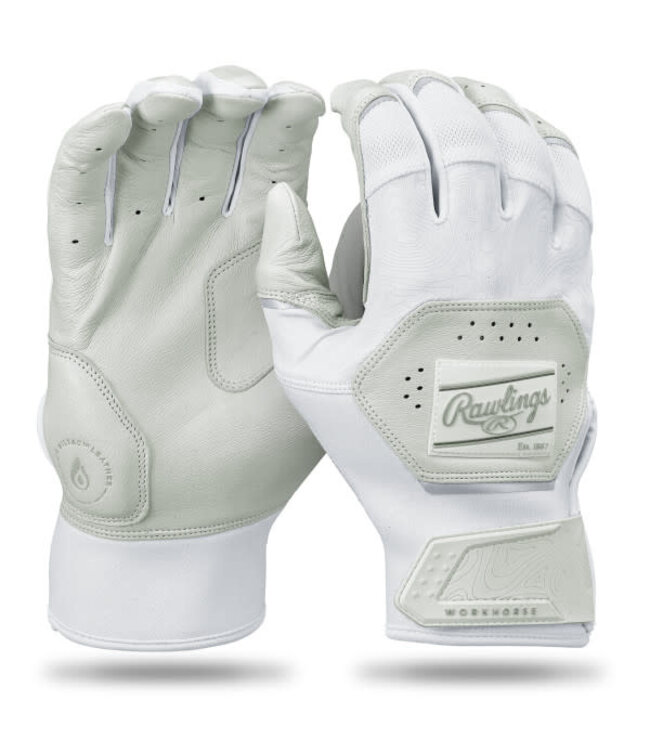 Rawlings Gants de baseball pour adultes Workhorse