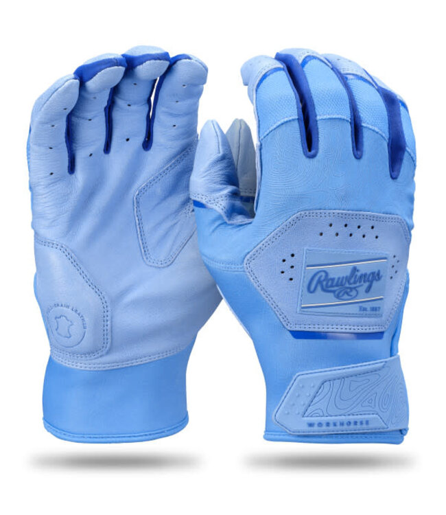 Rawlings Gants de baseball pour adultes Workhorse