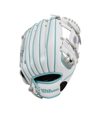 Wilson A200 EZ Catch 10” T-Ball Glove