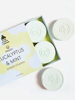 Eucalyptus & Mint Shower Steamers