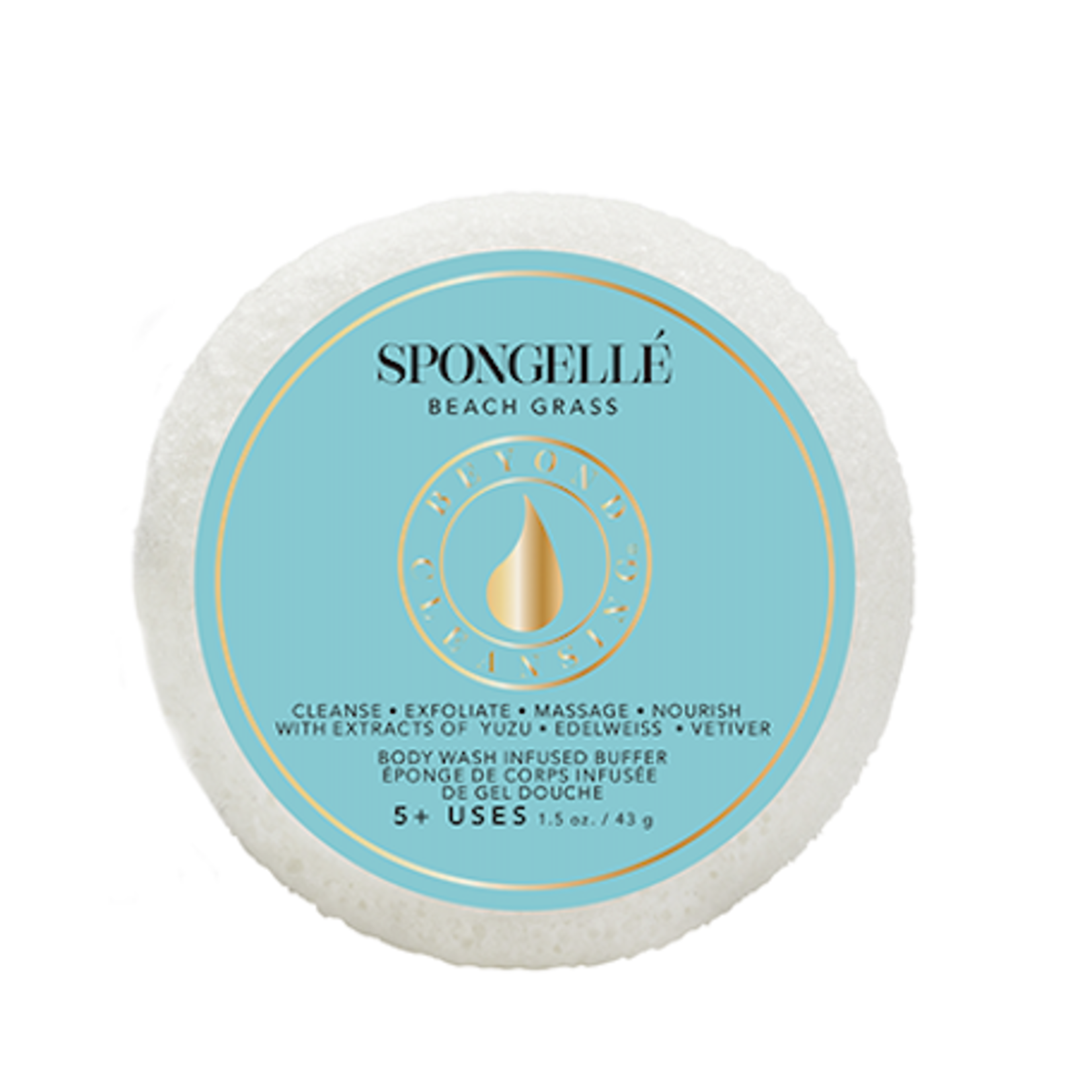 Spongelle Spongette Assorted Pack