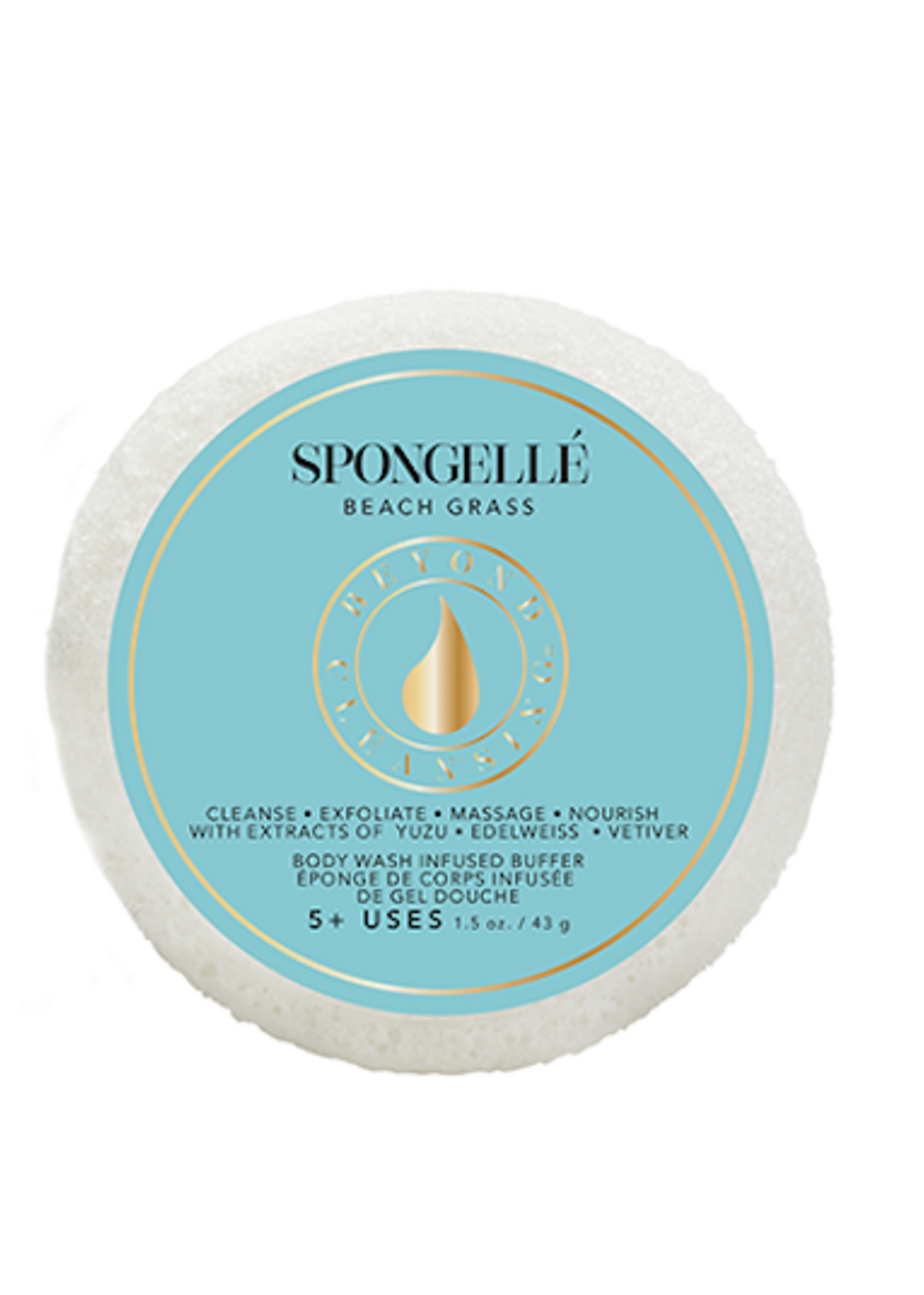 Spongelle Spongette Assorted Pack